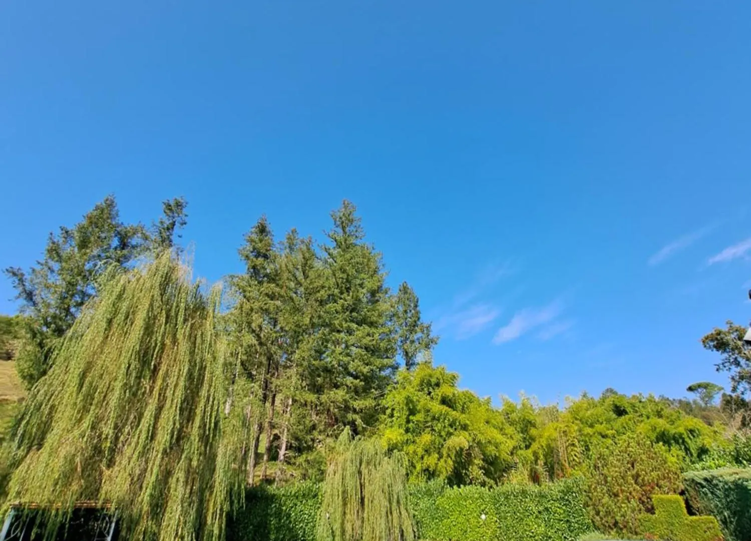B&B Tenuta Campo Magliano Bigliolo
