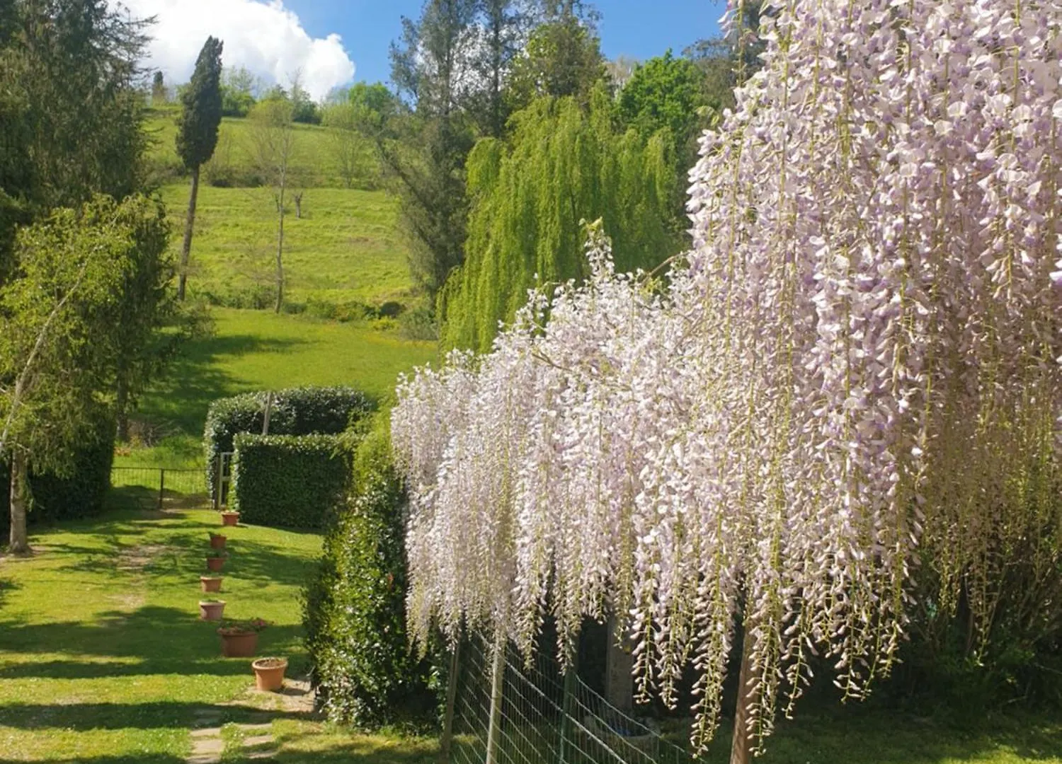 B&B Tenuta Campo Magliano Bigliolo