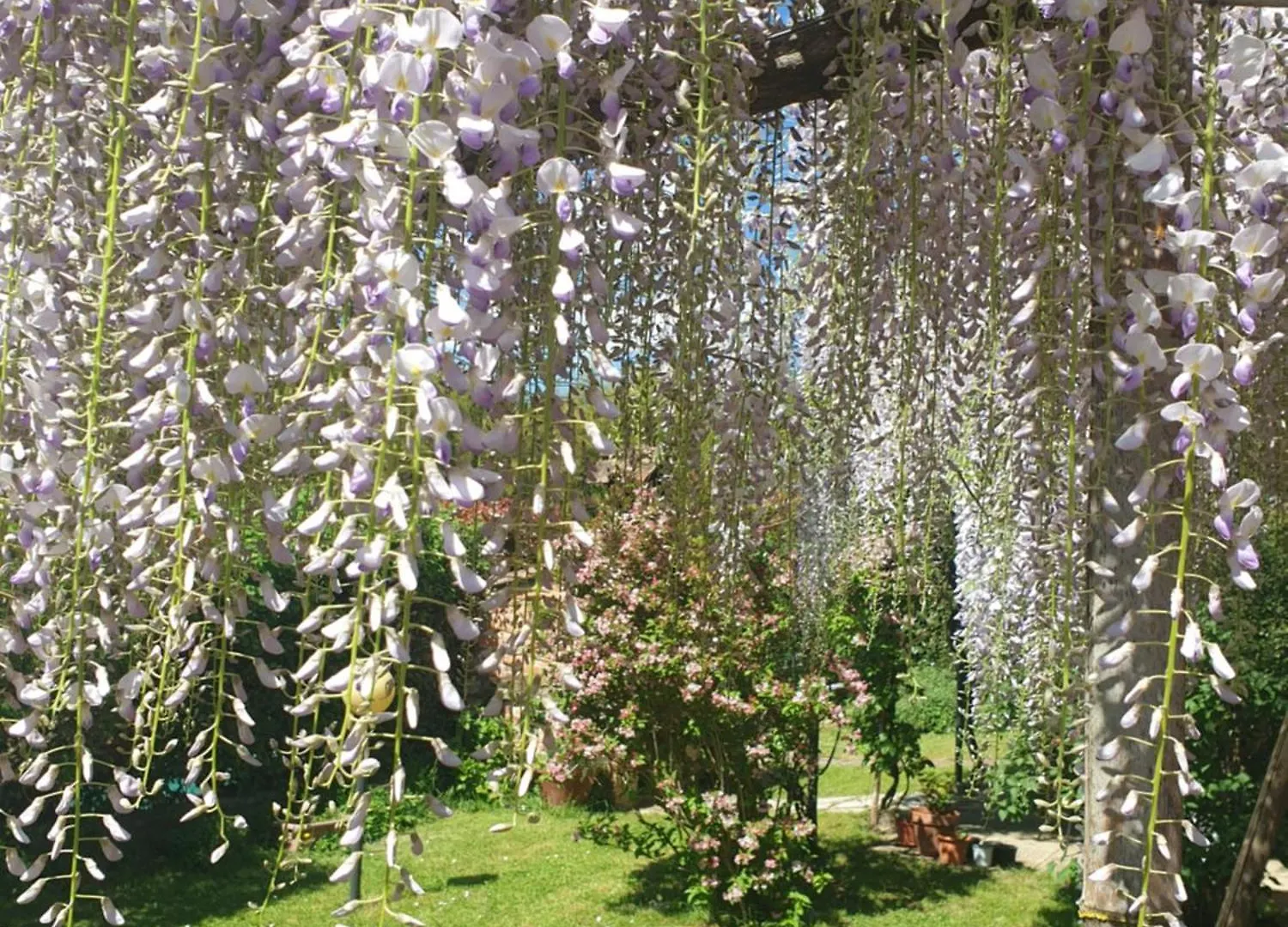 B&B Tenuta Campo Magliano Bigliolo 0*,  Italy